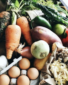 世界上还有哪些国家吃饺子世界各地饺子的样子