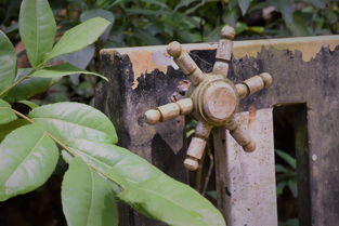 中国最古老的人推车,古代是谁发明轮子的…