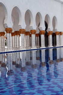 世界免签国家排名前十（免签国家排名榜）