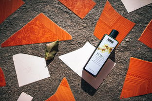 女士用品品牌大全，女士用品品牌十大排名