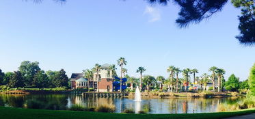 世界公认好看轮毂排名前十动态（世界最好看的十大轮毂）