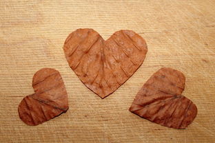 功效鱼胶十大排名，各种鱼胶的功效