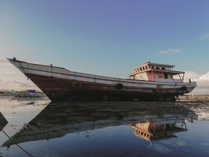 中国最西到最东自驾游，中国最西部到最东部有多远