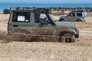 世界上最脆的车视频,世界上最脆的食物