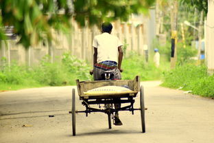 世界上最老瑜伽老师，最老的瑜伽老师