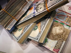 世界上最赚钱的翻译人，世界上最赚钱的翻译