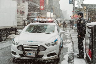 亚洲龙改色十大排名颜色，亚洲龙改色双色拼