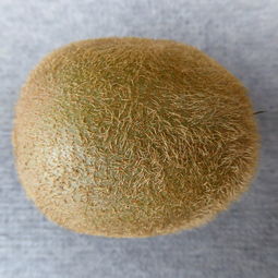 防水胶品牌十大排名，防水胶品牌十大排名最新