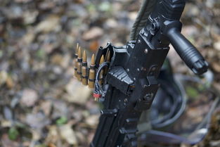 世界上枪数量排名前十，世界枪支数量排名