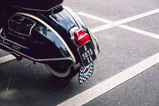 世界上最凶猛的摩托，世界上最凶的猛犬