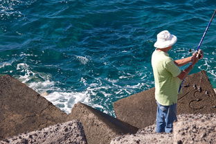 世界海钓鱼资源排名前十，世界海钓最好的地方