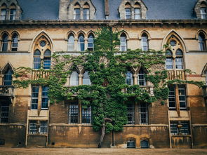 世界最火人排名前十，世界最火人排名前十的大学