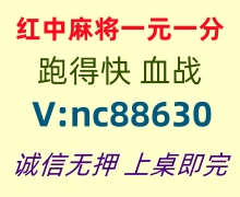 【一生一世】红中麻将跑得快《哪里有》